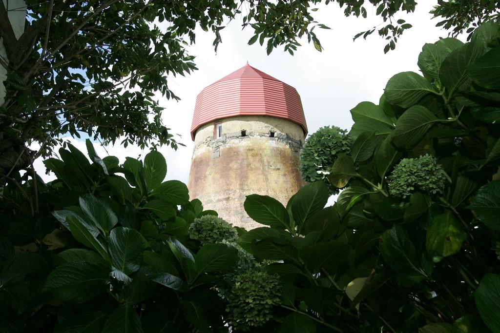 O Moinho Da Bibi Villa Candelaria  Exterior photo